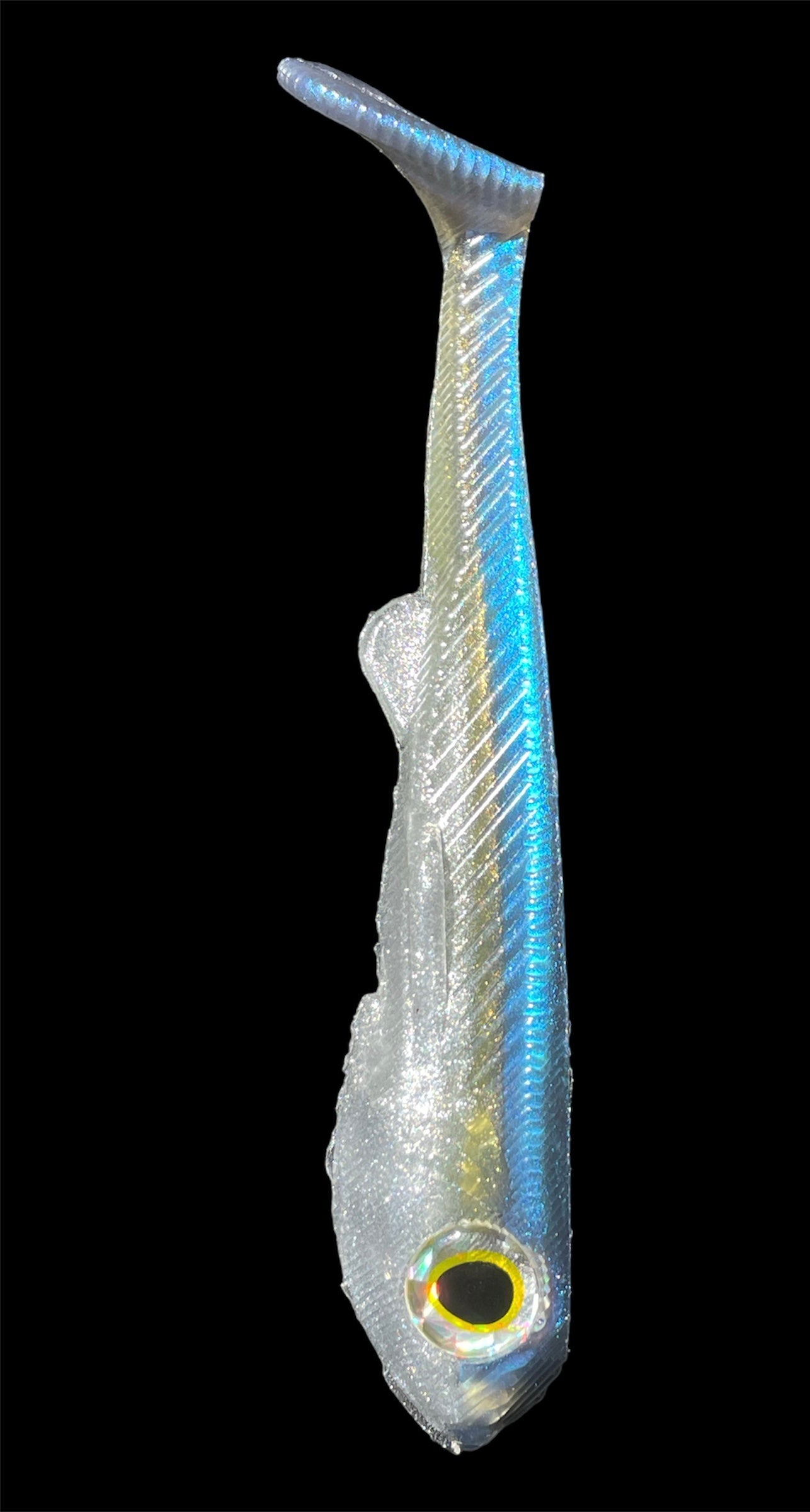 5" Line Through Swimmers