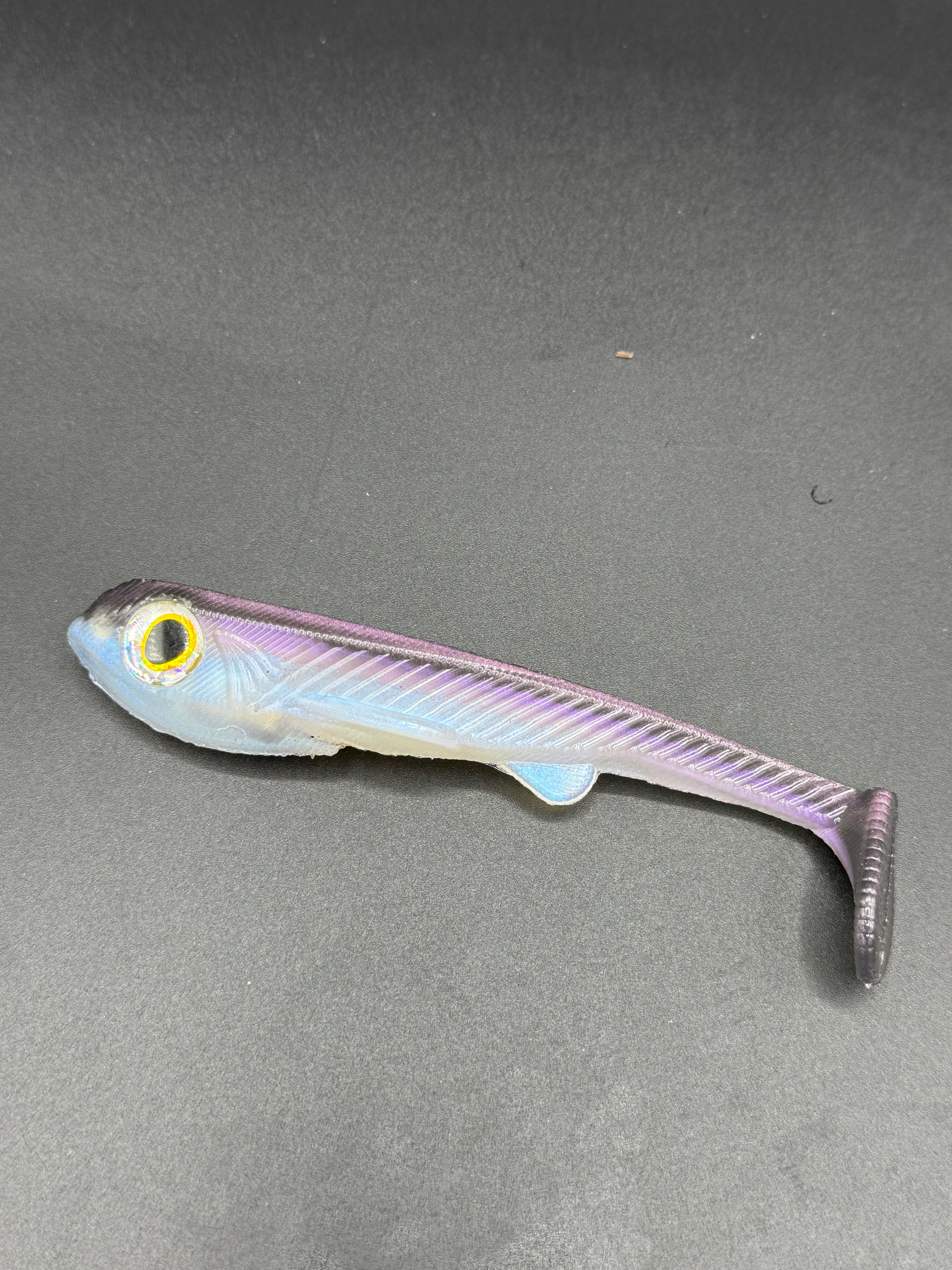 5" Line Through Swimmers